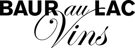 BALV Logo BALV Logo